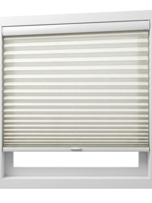 Pleated Blind